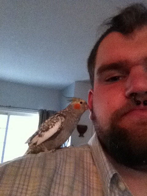 A poem for Georgia the cockatiel 